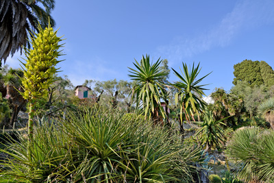 Blick über Ligurien zur Isola Comacina